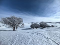 -塞罕坝国家级自然保护区