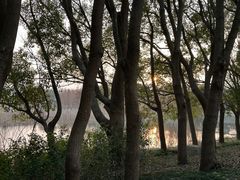 -同里国家湿地公园