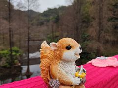 -云溪植物园