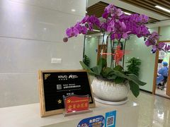 -茂菊口腔连锁(浦东南路店)
