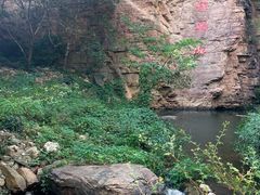 -湖洞水自然风景区