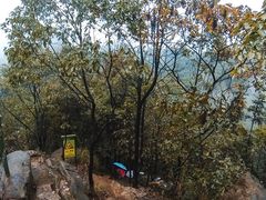 -南山植物园