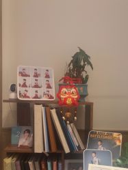 -倾城宝贝儿童摄影(浦东金谊店)
