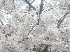 -堤角公园