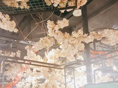-甲大帅·甲鱼·椰子鸡主题餐厅(唐家店)