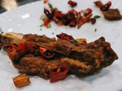 -鸽鸟轩(石岐店)