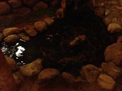 -小江南(万福园店)