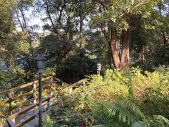 -广州市流溪河国家森林公园