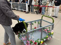 -秦皇岛野生动物园