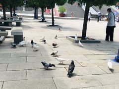 -龙口南山旅游景区