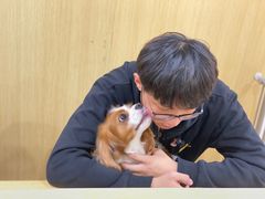 -Double Rui宠物酒店