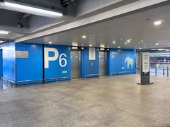 -虹桥综合交通枢纽-P6停车库