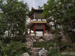 -莲花池公园