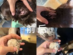 -听TA说宠咖·宠物生活馆(天韵水岸店)