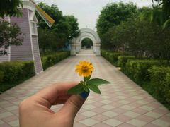 -广州花之恋城堡酒店