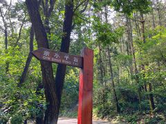 -青龙山国家森林公园