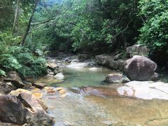 -广州白江湖森林公园