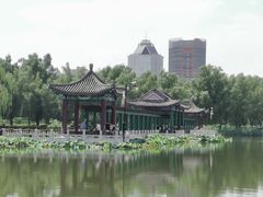 -莲花池公园