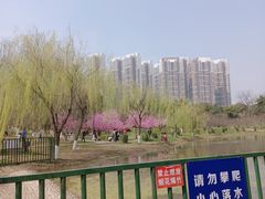 -堤角公园