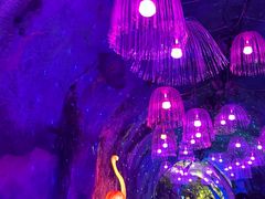 -栾川竹海野生动物园