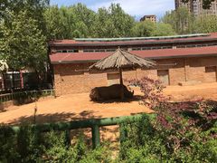 景点-郑州市动物园