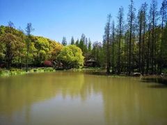 -上海滨江森林公园