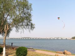 -丁香湖公园