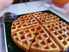 -喵园·猫主题咖啡厅·撸猫·猫咖(国贸店)