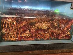 -仑头海鲜城(仑头环村南路店)