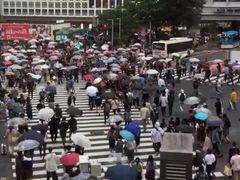-涩谷区