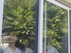 -富轩全屋门窗(浦江红星美凯龙店)