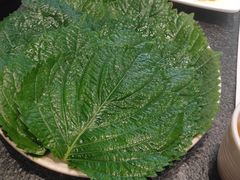 -完美生活炭火烤肉(二马路店)