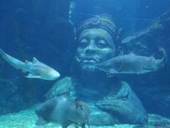 -暹罗海洋世界