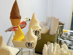 -野人先生现做冰淇淋(北京顺义祥云小镇店)