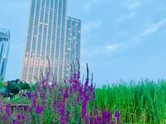 -西海子公园
