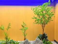 -金色印象·4K影院式足体养生(杨家坪西郊店)