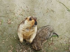 -恒大·海上威尼斯售楼处