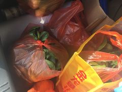-南汇老顾农家乐采摘大团水蜜桃采摘店
