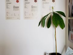 -纽巷咖啡 SOFTFOCUS COFFEE(锦和巴黎时韵店)