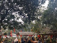 -青城甲(青城山店)