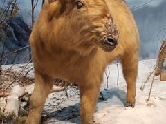 -陕西自然博物馆