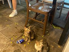 -陈鹏鹏潮汕菜(欢乐海岸 海边景观店)