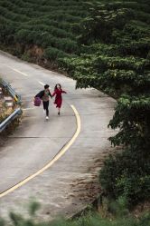 -苏菲亚婚纱影楼尊爵店(昆区店)