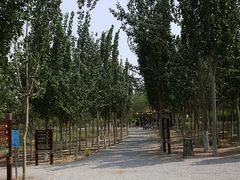 -西青郊野公园