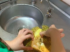 -PAGODA百果园(深圳天琴阁店)