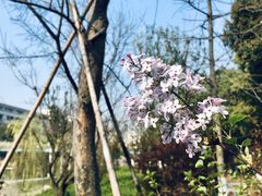 -江南大学(蠡湖校区)