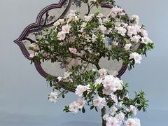 -上海方塔园