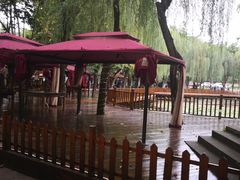 -巴山一绝烤全羊(三圣乡刘家花园店)