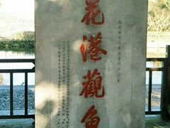 -西湖外事游船(花港观鱼码头)