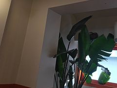 -橘酱餐厅